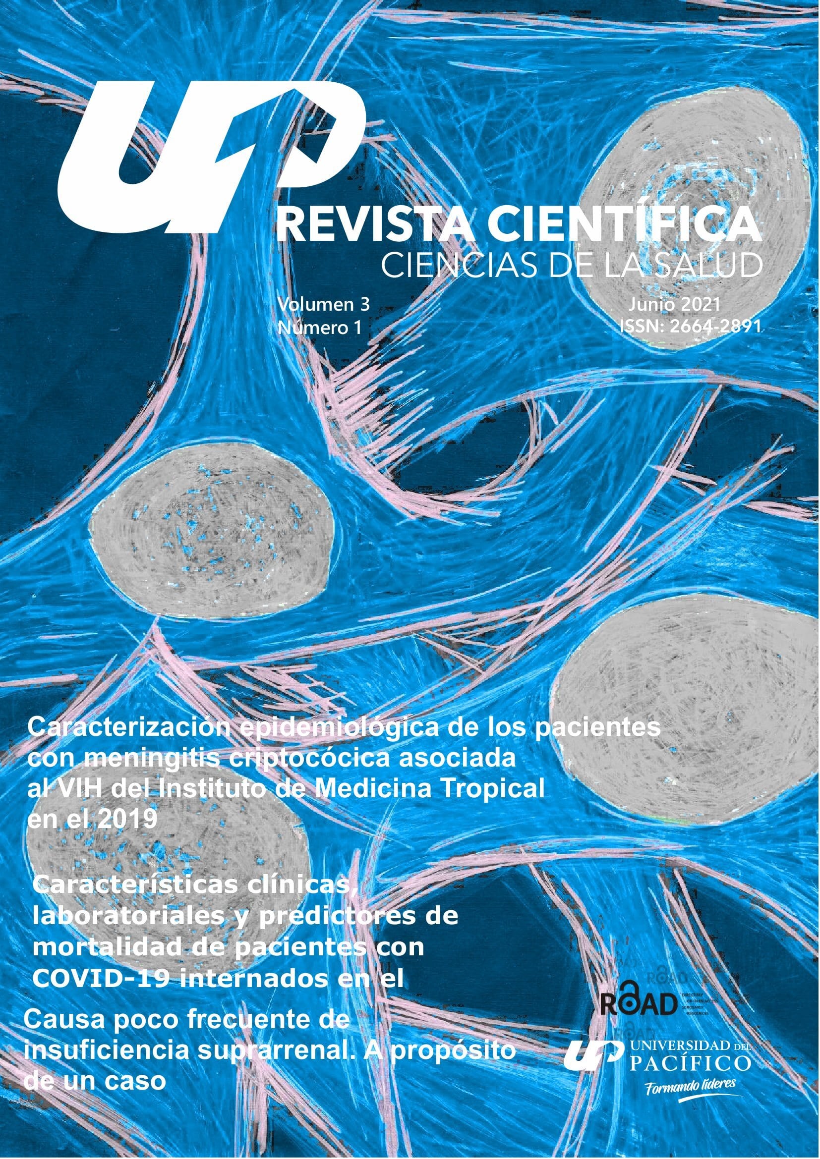 					Ver Vol. 3 Núm. 1 (2021): Revista científica ciencias de la salud - ISSN: 2664-2891
				